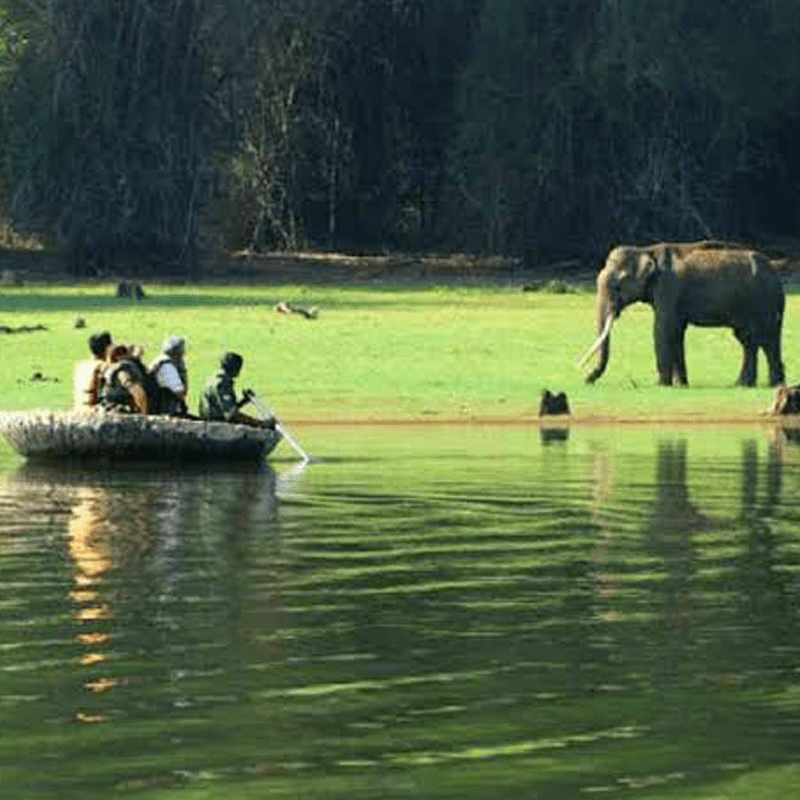 Wild Coracle ride